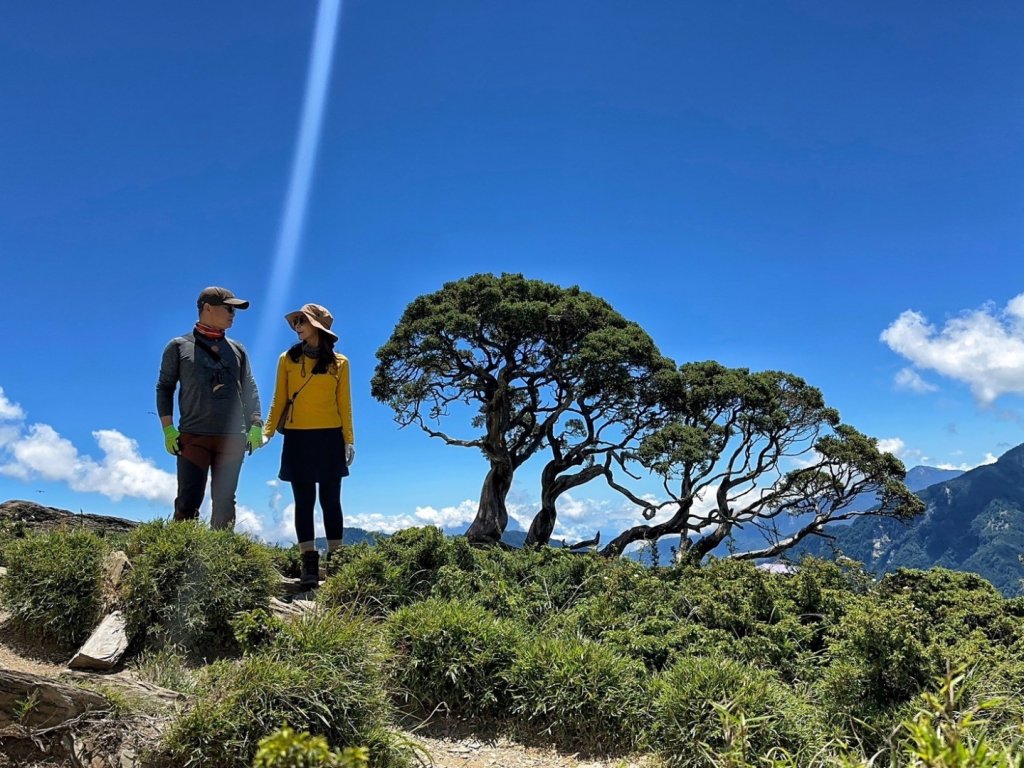 合歡北峰 盛夏之美_2544901