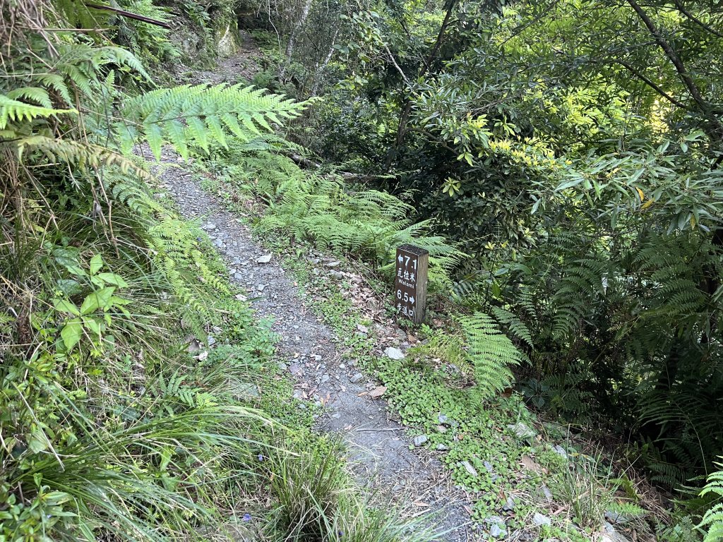 [玉山尋寶任務-03/12] 2025_0810 瓦拉米步道_2857607