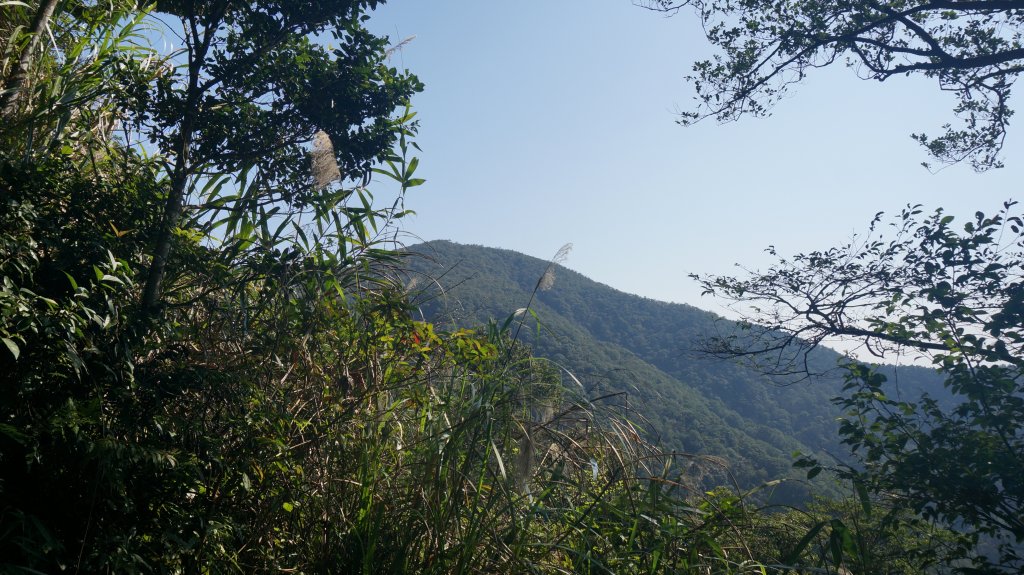 三角崙山 五峰旗瀑布連走_1261154