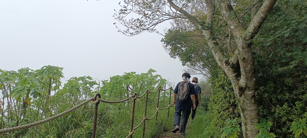 2024/08/18_馬那邦山步道_2576206