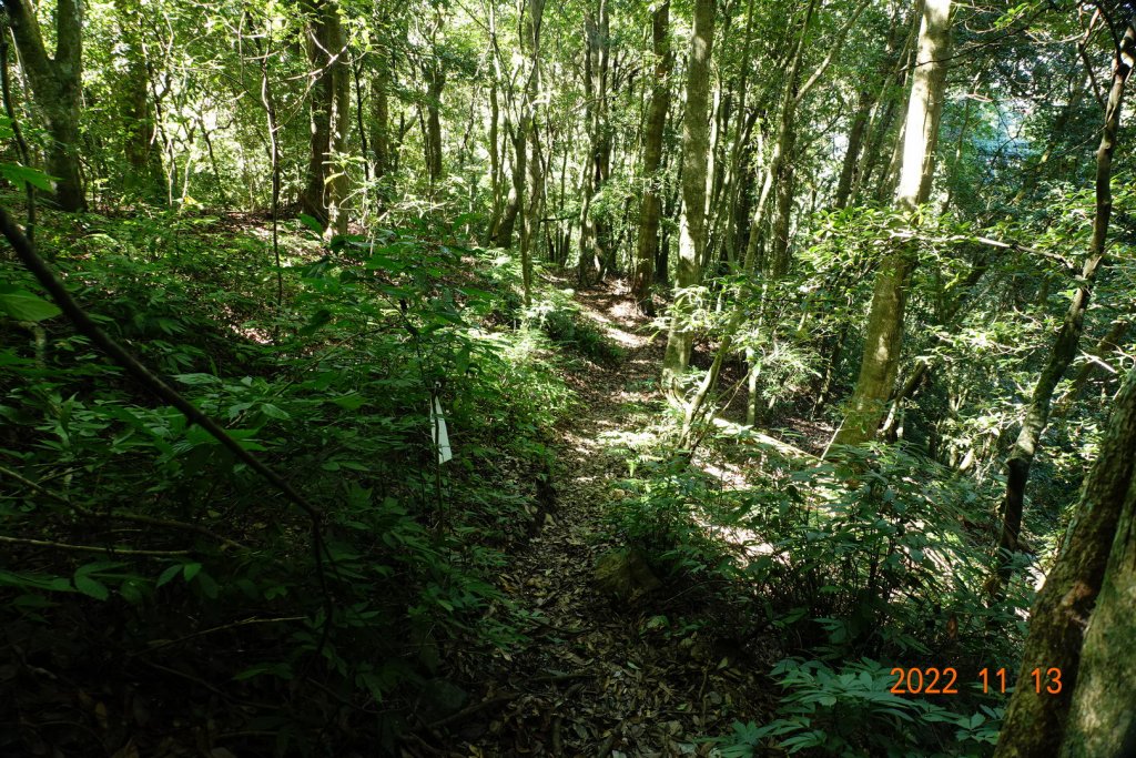 南投 仁愛 再生山(安達山)_1913667