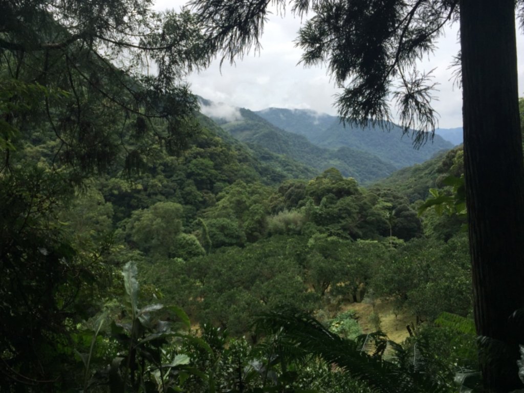 三峽雲森瀑布封面圖