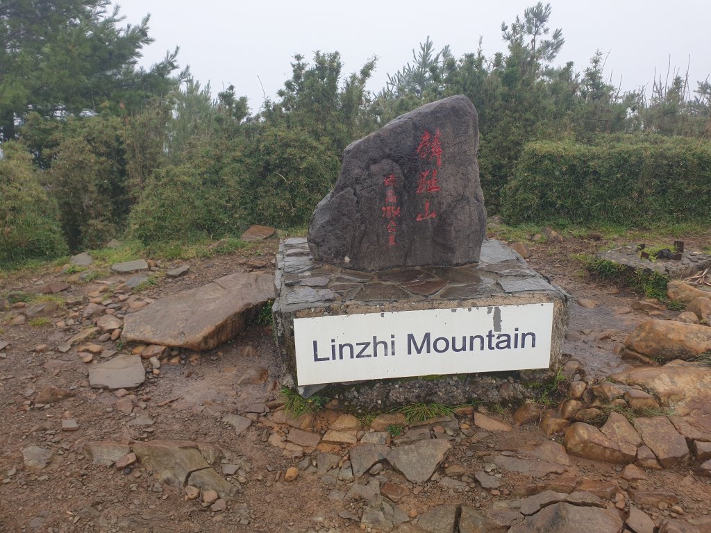 20220715鹿林前山、鹿林山、麟趾山、東埔山_1774818