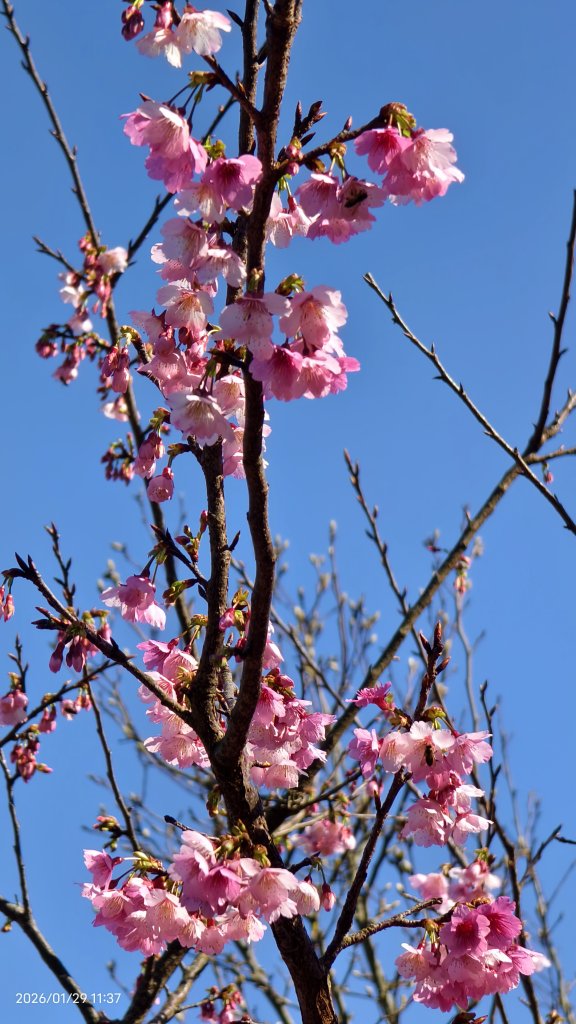 天元宮了嗎？2/3_2992602