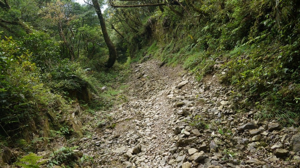 烘爐地山登山健行趣(中級山)_1734399