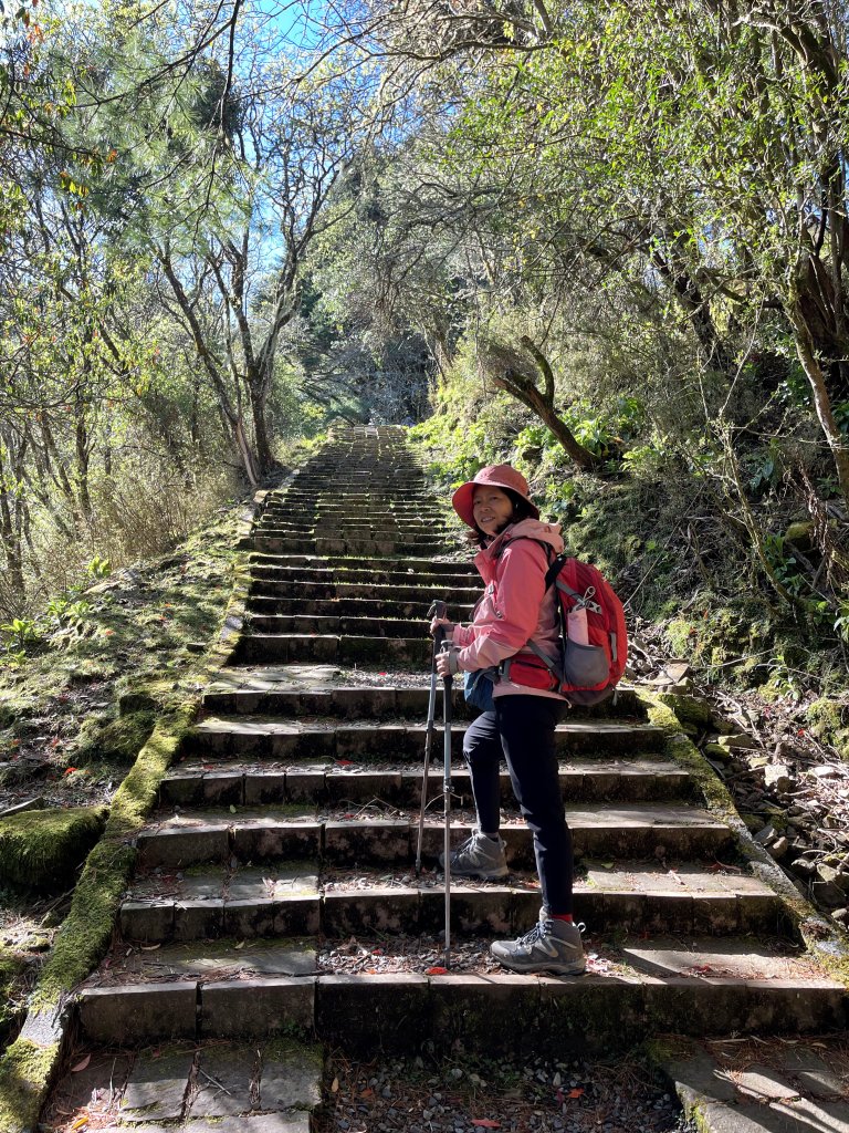 鹿林山+石水山+東埔山 20240402_2481625