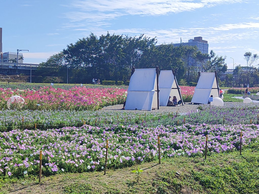 臺北大縱走第八段：捷運動物園站 - 捷運關渡站封面圖