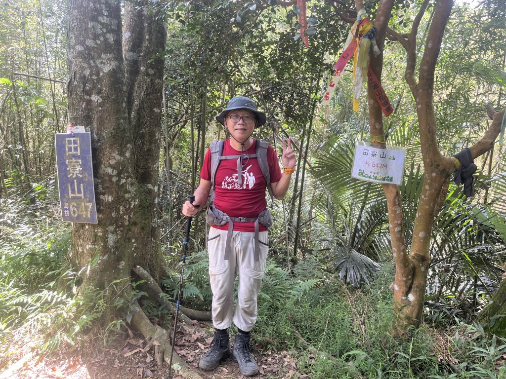 [皮皮獅Hike客任務-07/10] 2024_0831 大山背麒麟步道封面圖