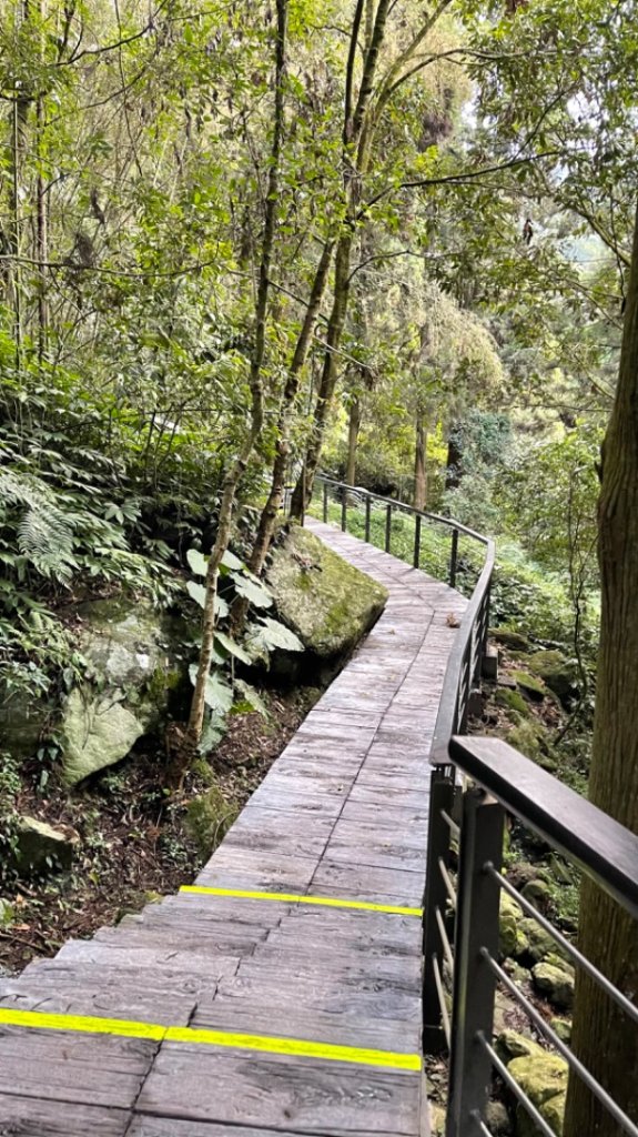 20220215 [奮瑞古道] + [瑞太古道] -摩天嶺_光崙山_雲載山_1613518