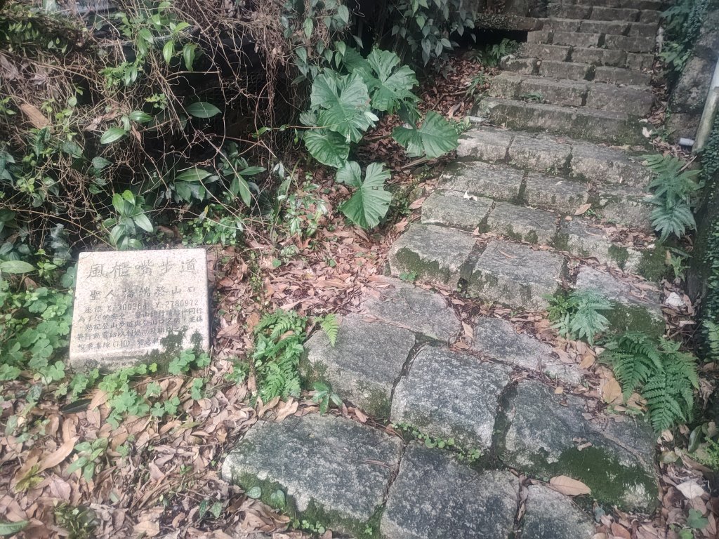 聖人瀑布_2678853