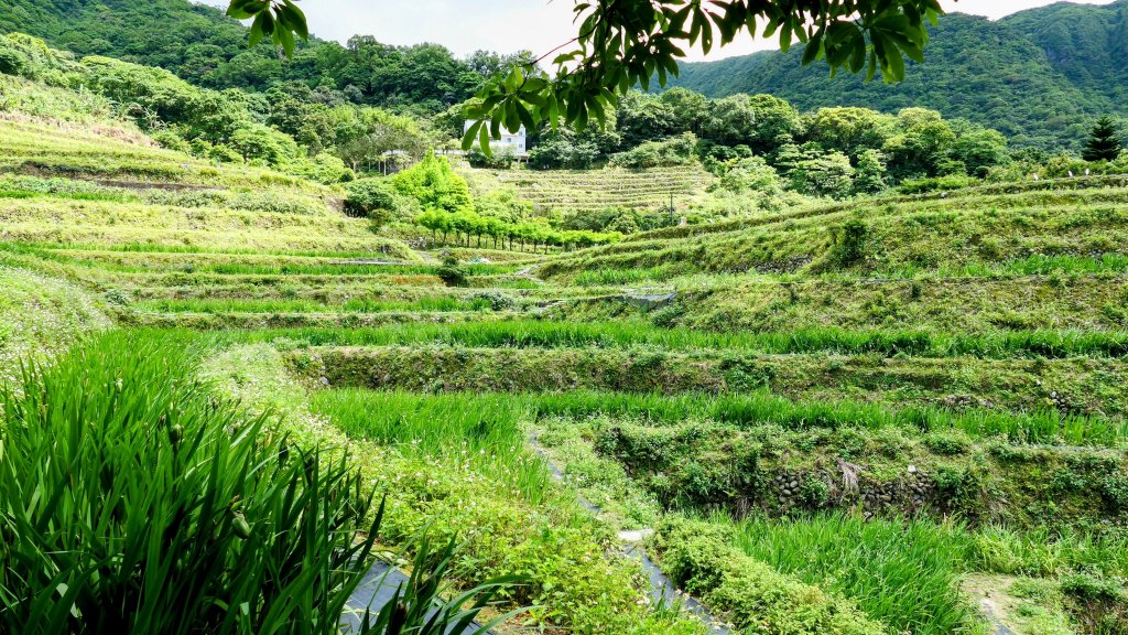 北海岸。良率_2783380