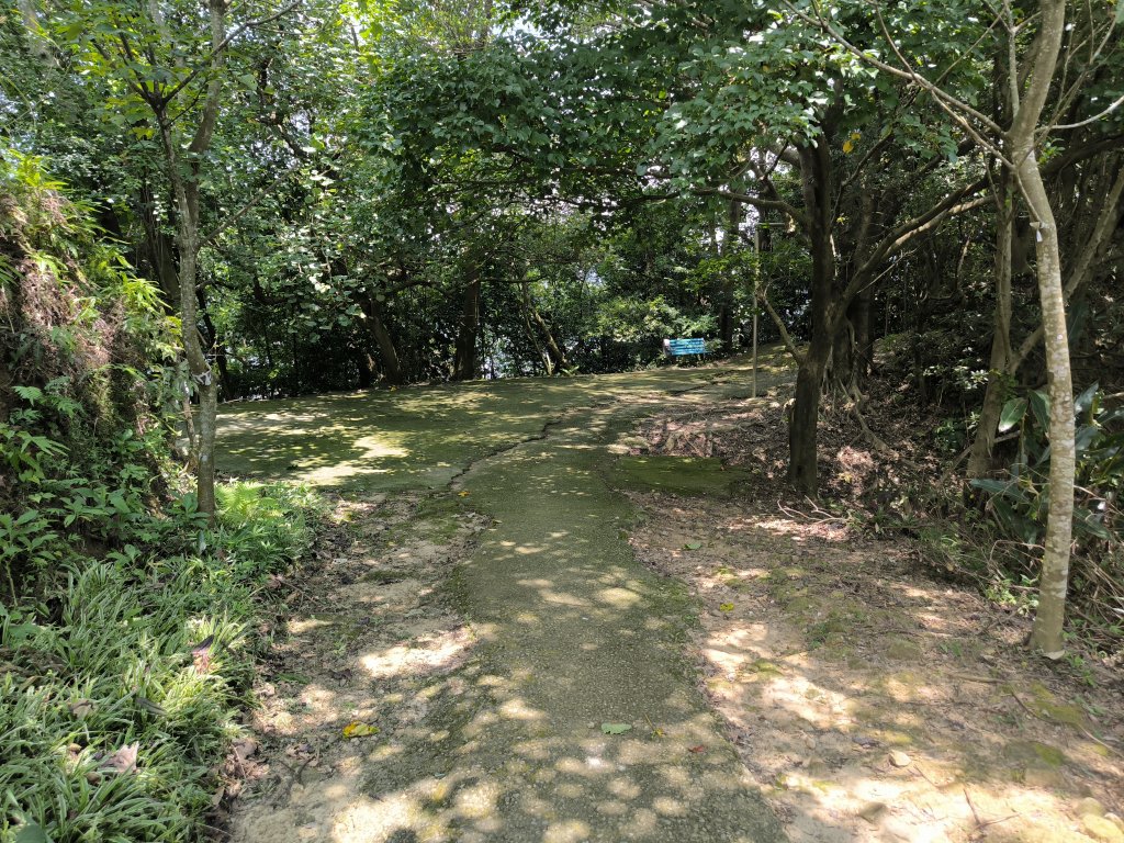 20250809樹迴縱走_2855046
