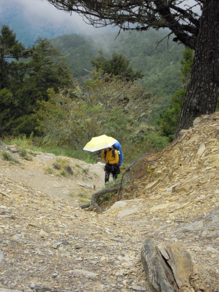 南湖群峰_南湖大山_南湖東峰__南湖北山_審馬陣山_多加屯山20140827_1960054