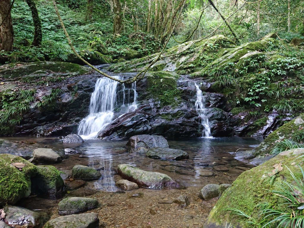 雲霧步道上鵝公髻山封面圖