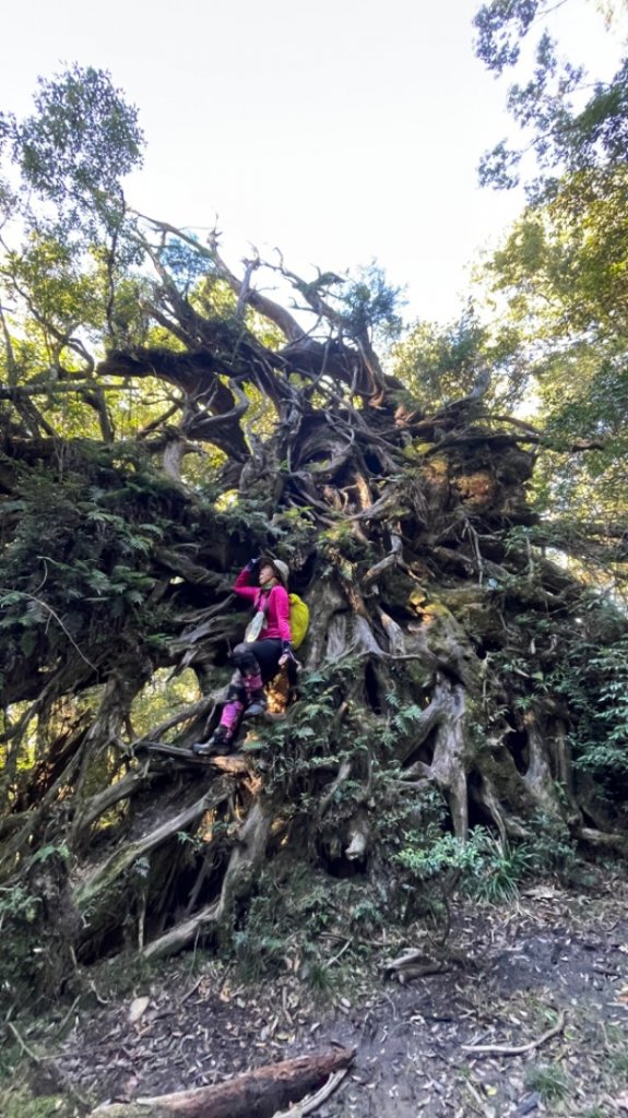 塔魔巴2天1夜來回_2357274