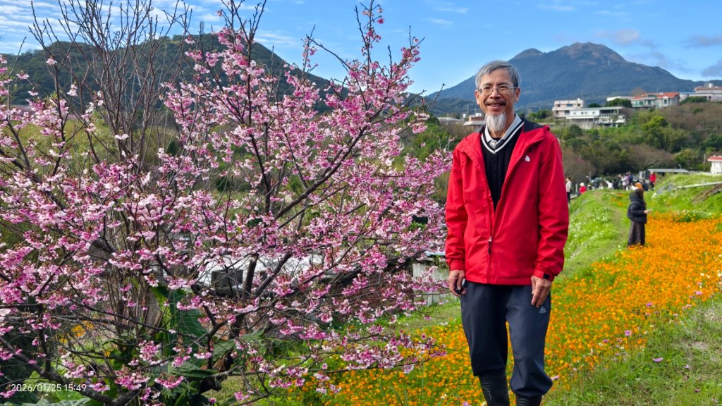 #平菁街 #鵝尾山梯田 #廣佑聖王廟 #寒櫻巷 #夕陽 1/24&25_2987664