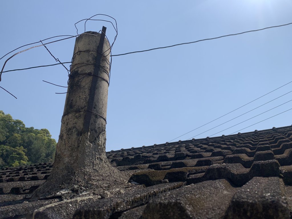 20250322南投松柏坑山-大棚山_2745917