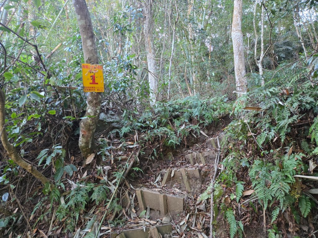 水雲三星～上島山（鳥嘴山）_2931223