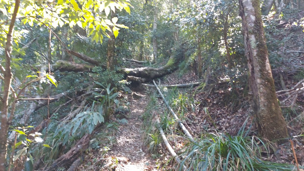 比大鳥縱走_1277876