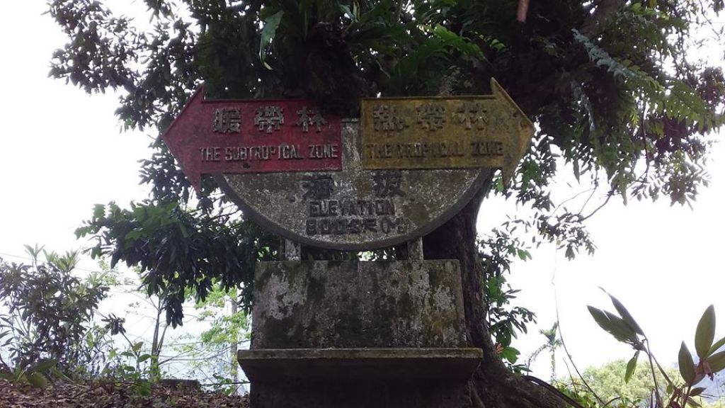 (尚未整理)【嘉義】塘湖古道阿里山鐵路_305143