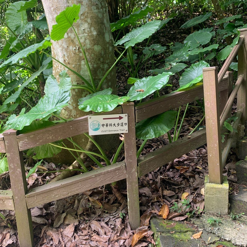 富陽公園封面圖