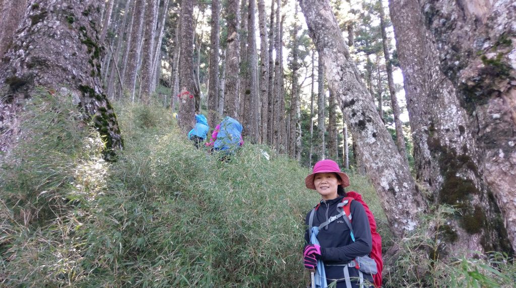 2018/07/27~29屏風山_375357