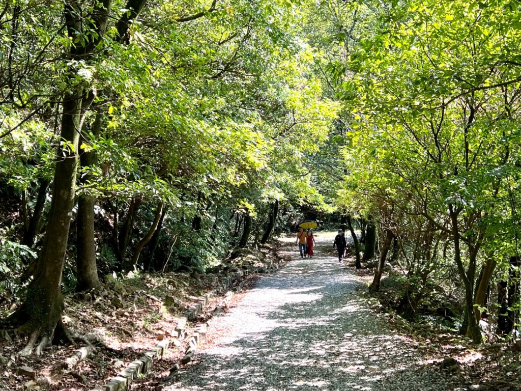 石尾步道環走黃金三稜上燦光寮山_1865968