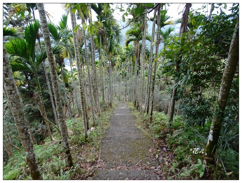 華山/3號好漢步道_781463