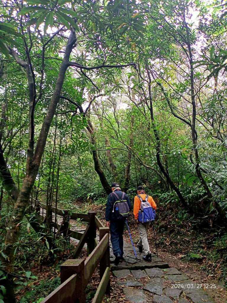 【臺北大縱走 3】冷水坑→七星山東峰→冷擎步道→牛奶湖→菁山吊橋_2468597