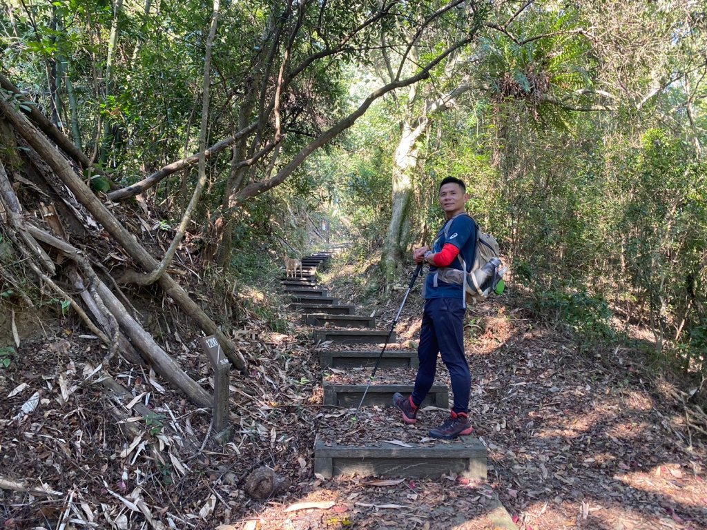 風櫃斗.牛稠坑.二坪山古道【遙知不是雪，為有暗香來】_2703861