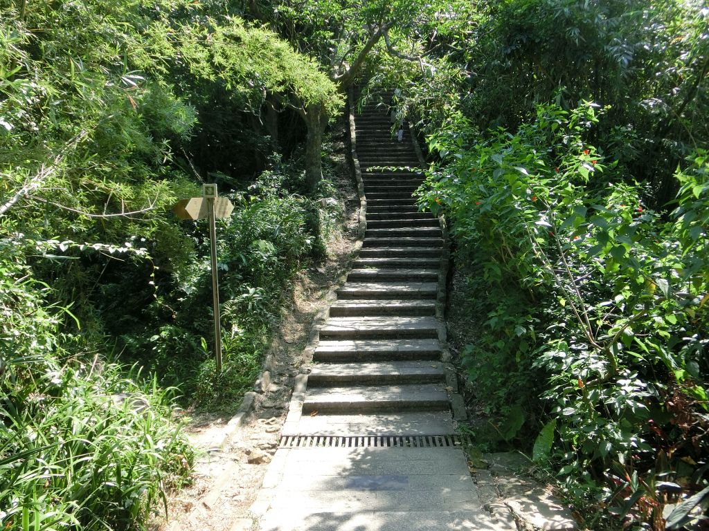 南港山縱走親山步道_173935