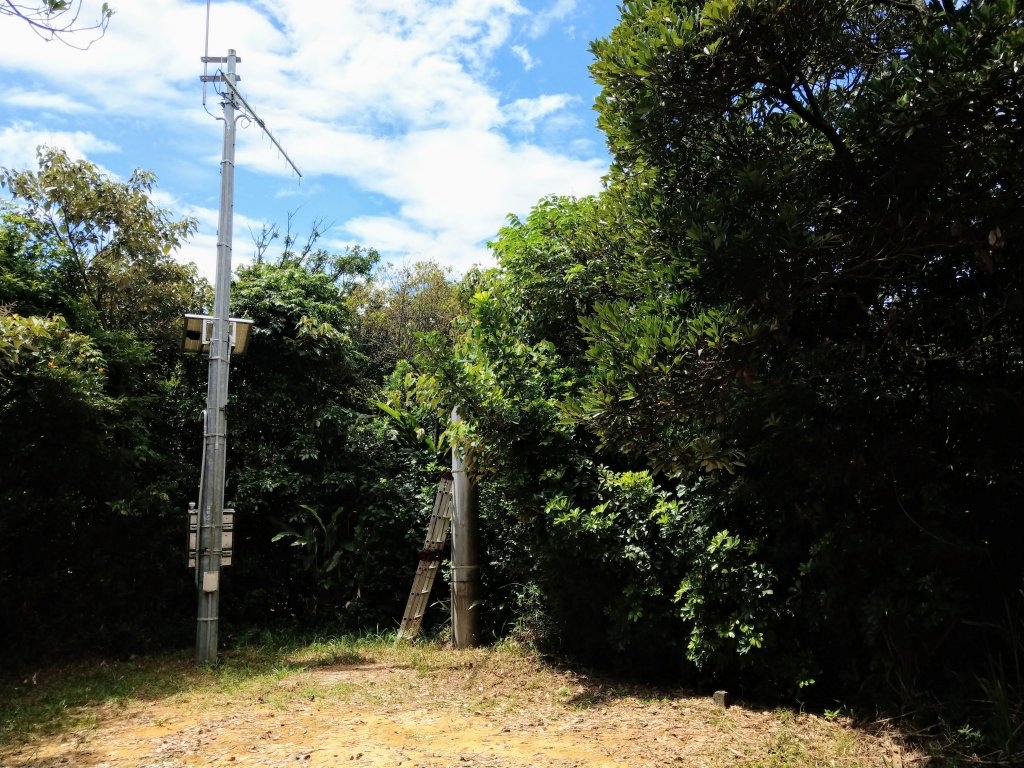 《百大必訪步道》金面山 (2020/8/30)_1431364