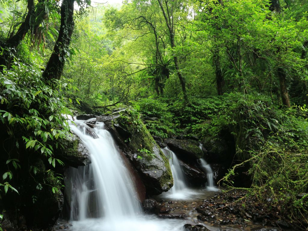 聖母登山步道封面圖