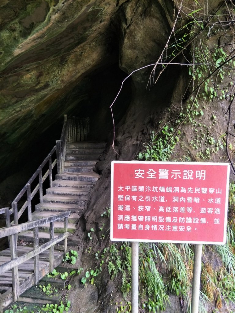 蝙蝠洞_1442918