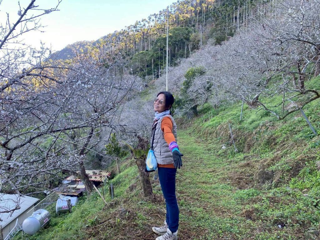 🌈1/4(日)來趣梅嶺~竹子尖山-獵鷹尖-一線天~梅子雞風味餐✨FB：熊熊趴爬走🌈_2976810