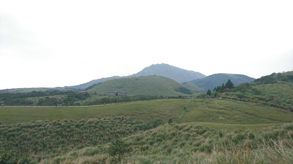 風櫃嘴擎天崗 2017.03.04_140595