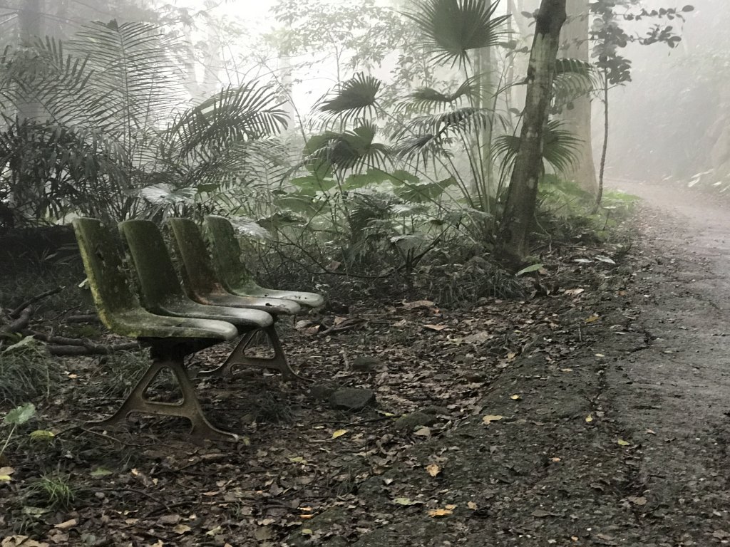 雞籠山x大凍山x九龍山_1221046