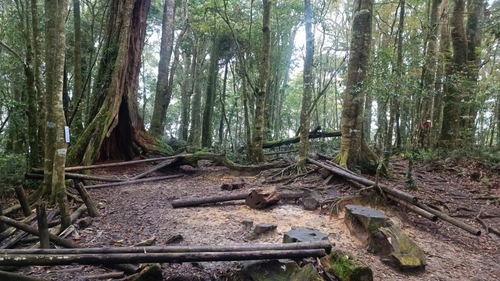 鳳凰南嶺線步道(溪頭至杉林溪縱走)_2150714