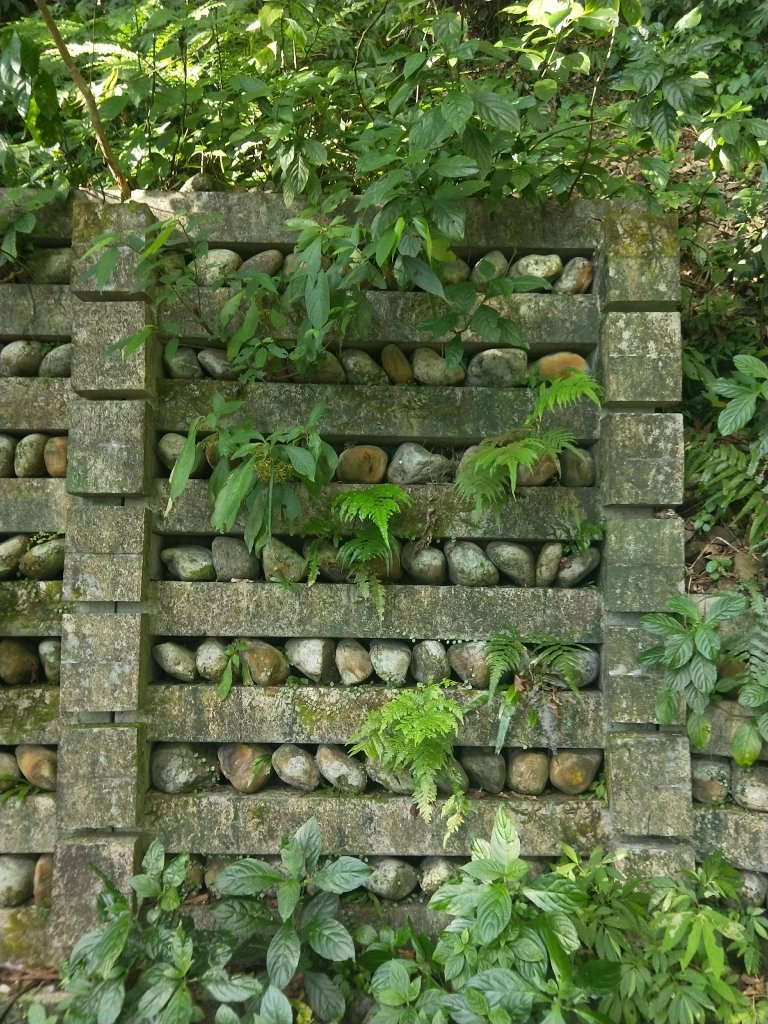 109.09.05抹茶山_1280512
