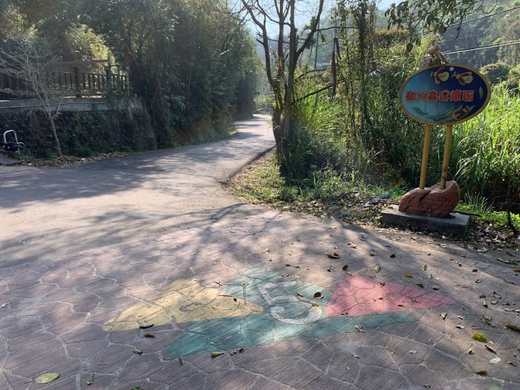 十二寮登山步道20230228_2045382