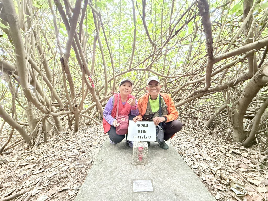 雲林基石+落羽松  2025.01.01_2688270