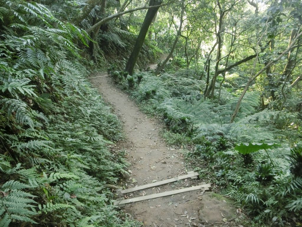 南勢角山．青春嶺_231928