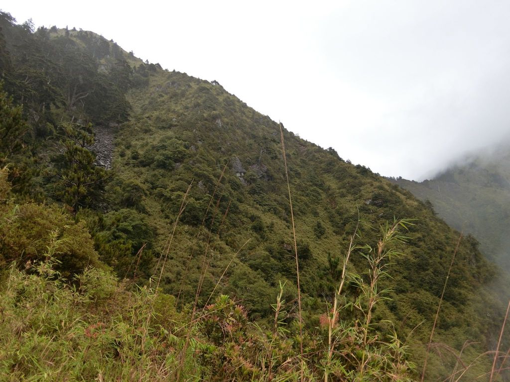 石瀑滾滾登玉山前峰~這輩子只會爬這一次_182711