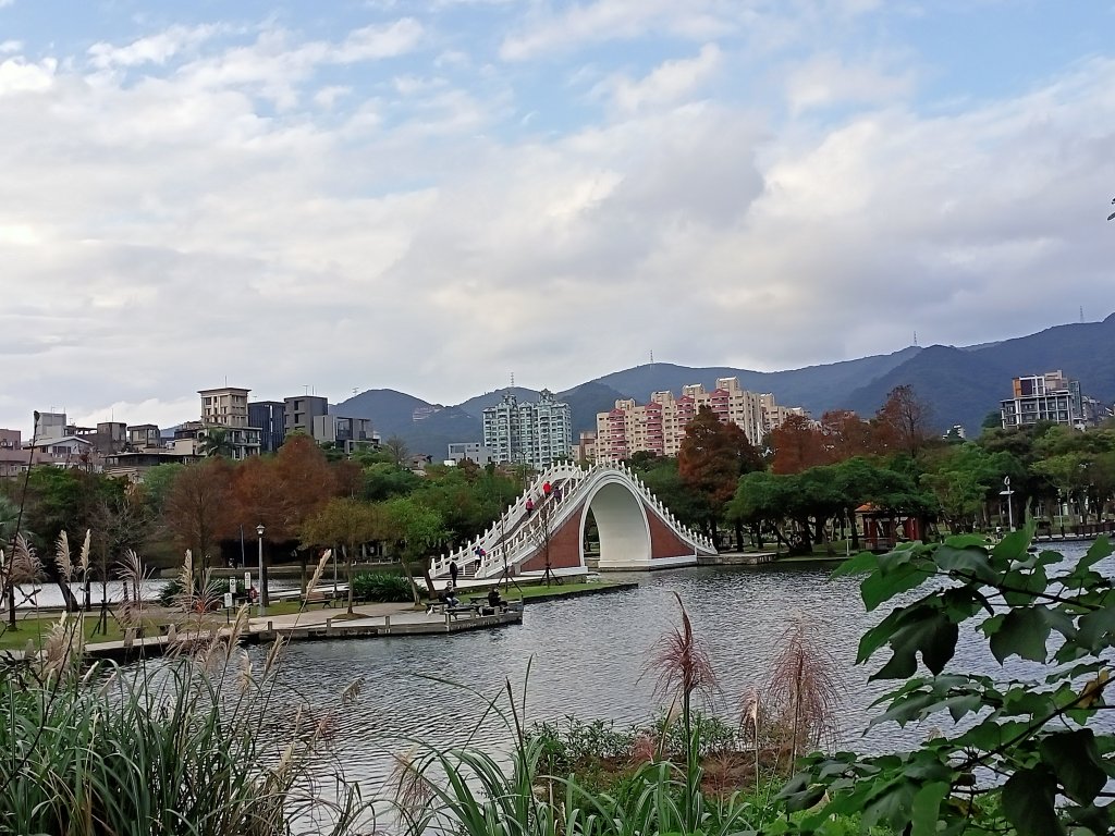 湖光山色、燈火輝煌的大湖公園【齊心鞋力, 益起行走】_1984531