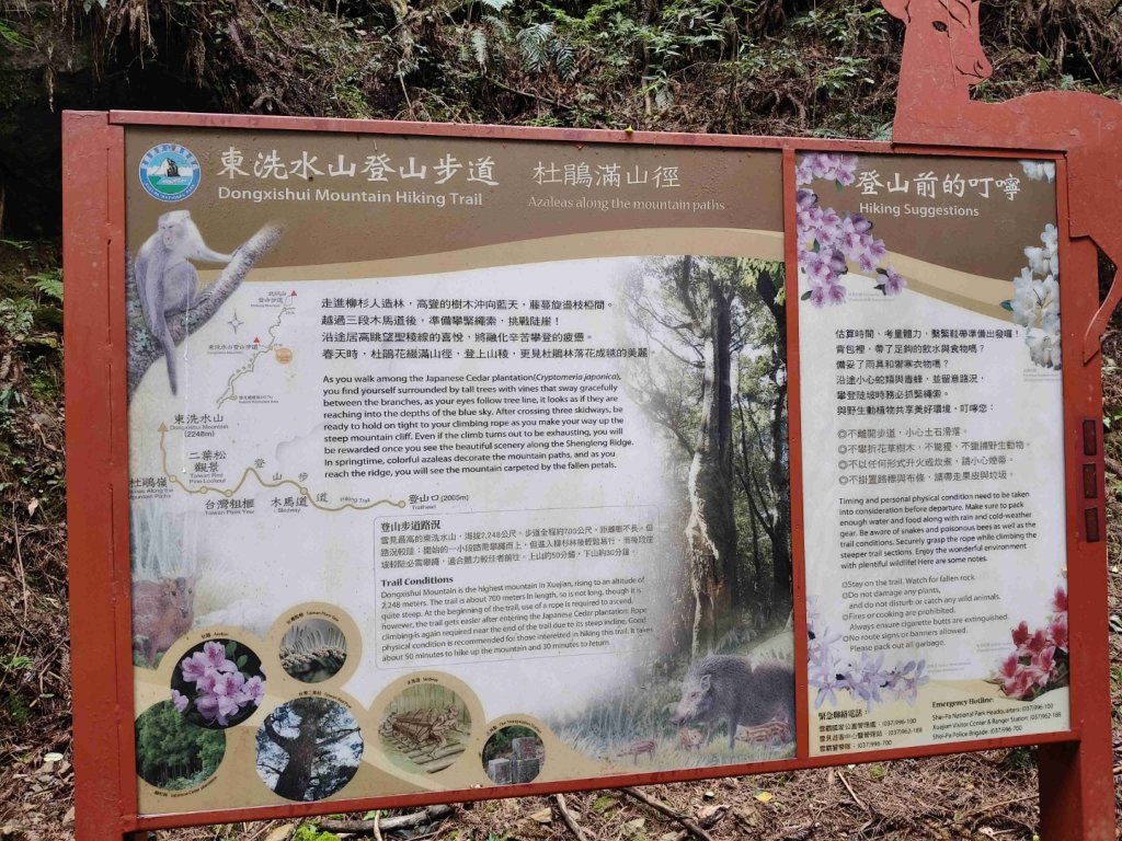 觀雪縱走~大園登山協會_2828638