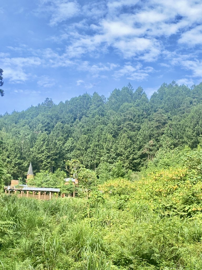 溪頭散步悠遊    2024.5.20_2517686