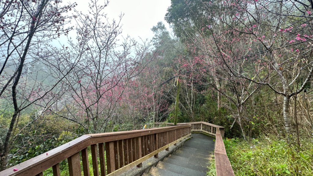 貓囒山與後尖山_2710493