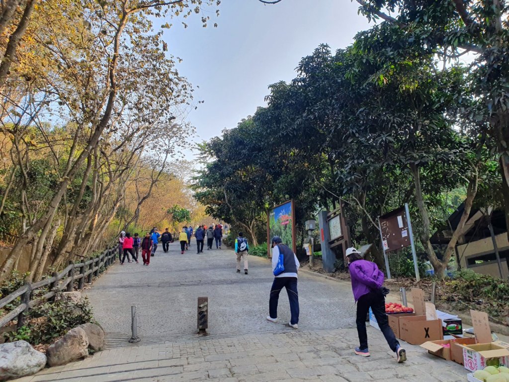 大社觀音山步道（小百岳）_1252582