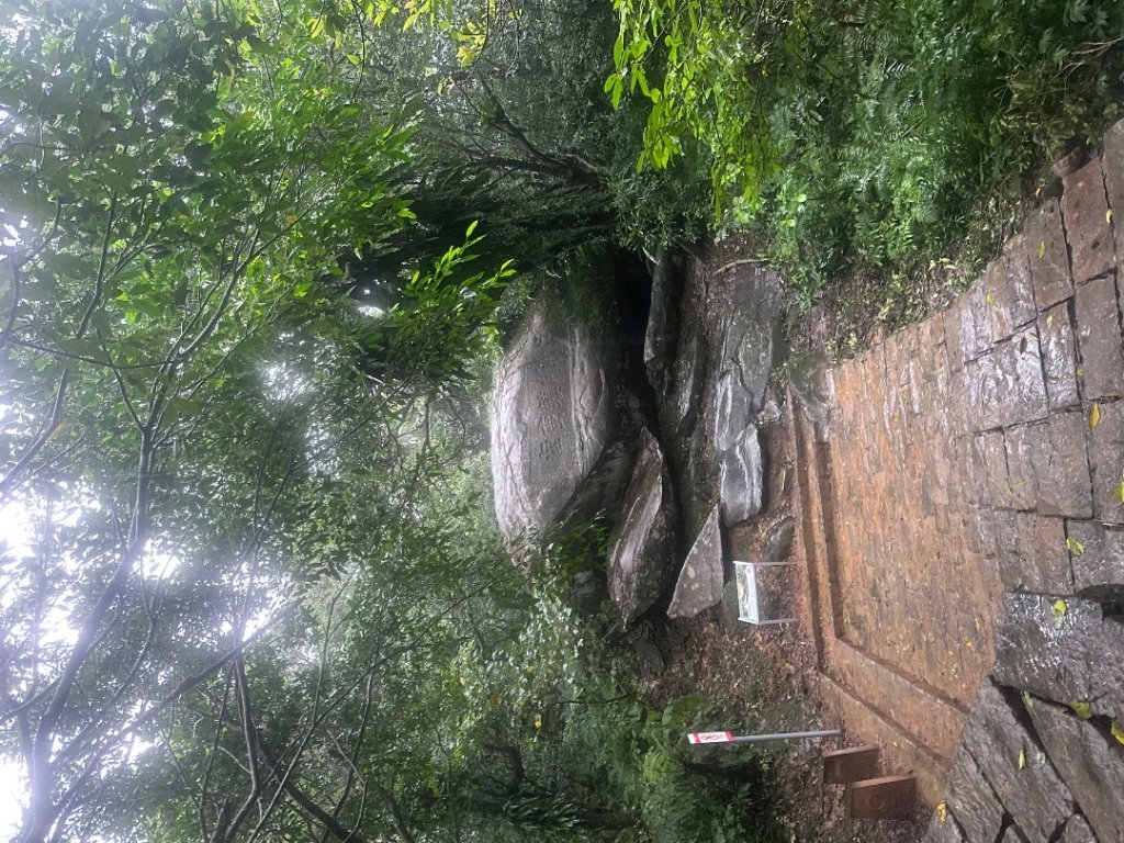2024草嶺古道芒花季草嶺古道_2644796