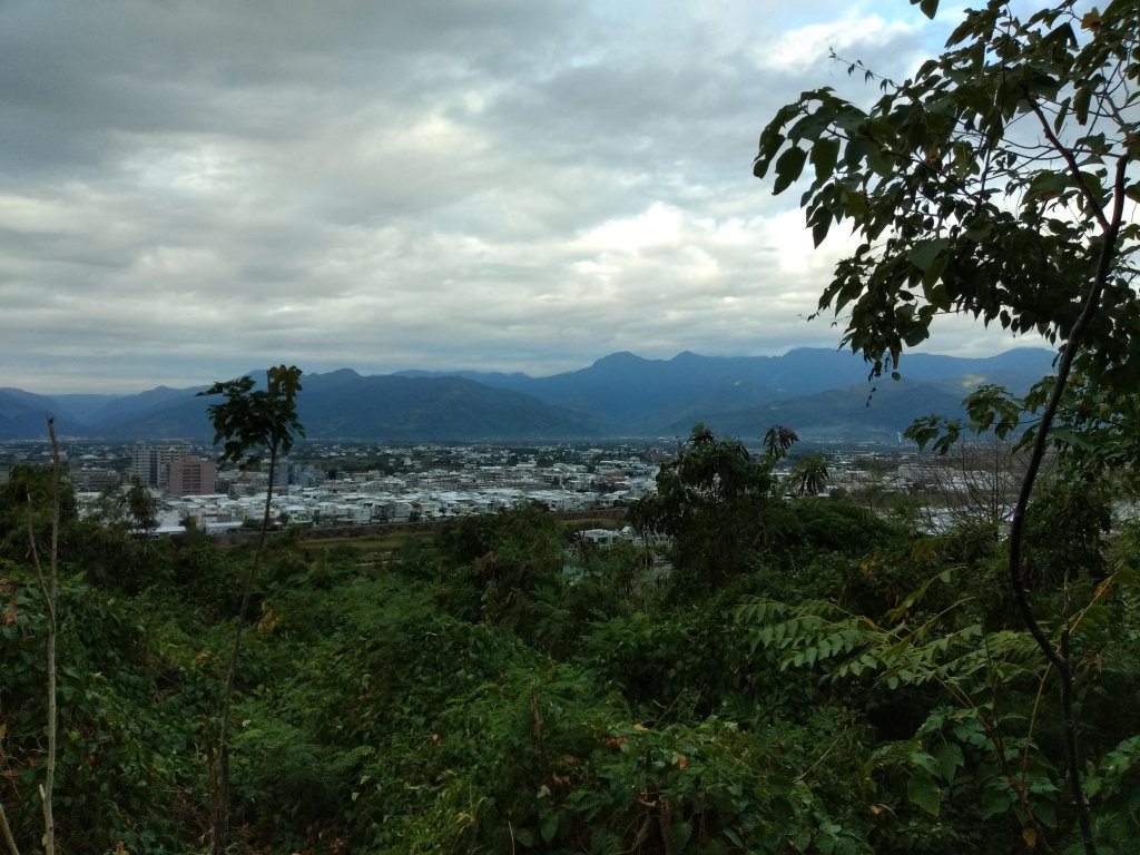 步道巡訪員│鯉魚山步道一月巡訪日誌_817371